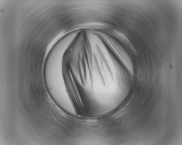 X0000052631180200507221742