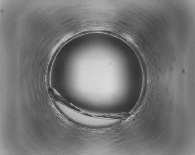 X0000052631181200507221742