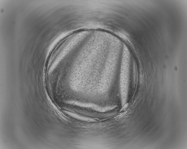 X0000052631183200507221742