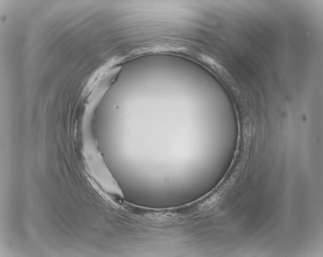 X0000052631185200507221742