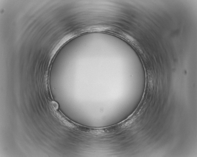 X0000052631186200507221742