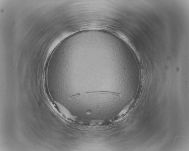 X0000052631187200507221742