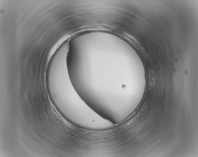 X0000052631188200507221742