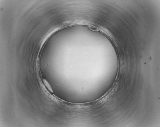 X0000052631190200507221742