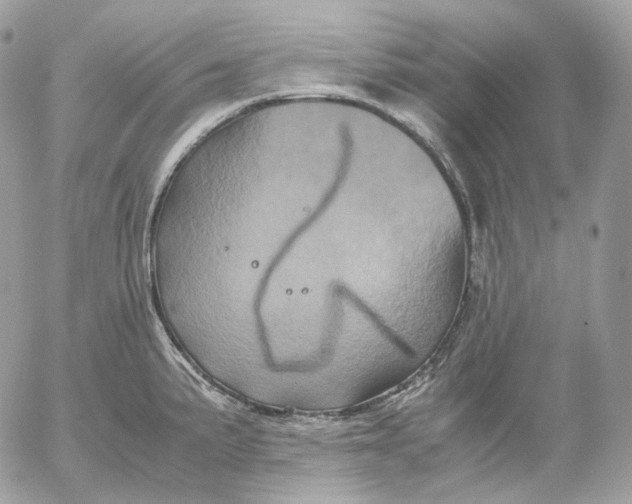 X0000052631191200507221742