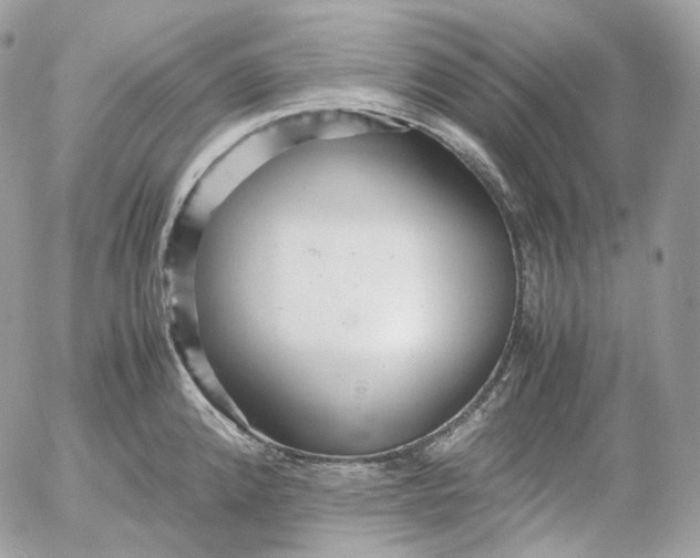 X0000052631192200507221742