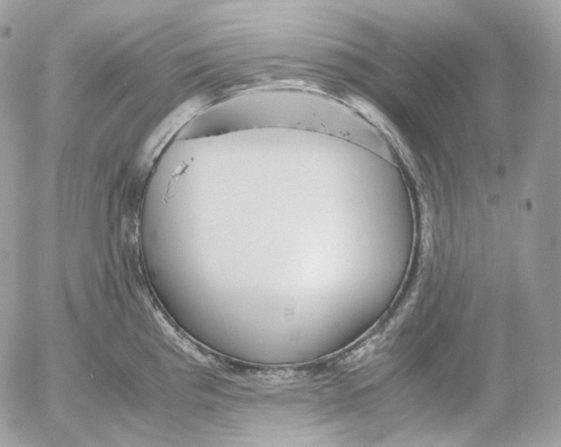 X0000052631193200507221742