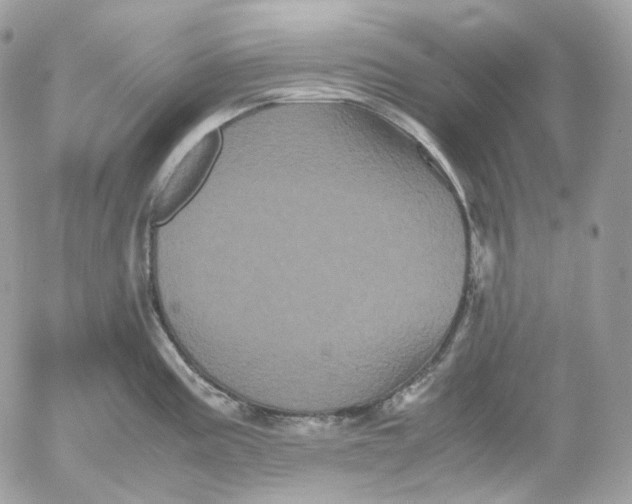 X0000052631195200507221742