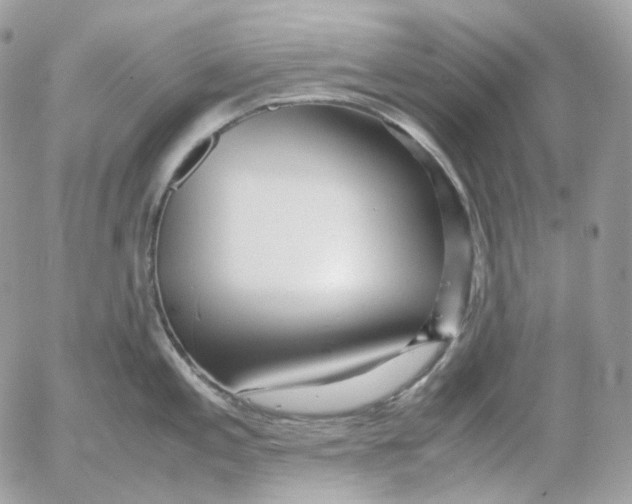 X0000052631197200507221742