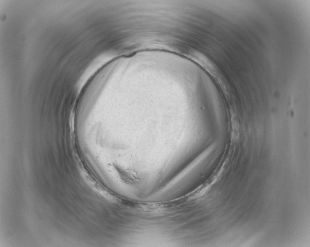 X0000052631198200507221742