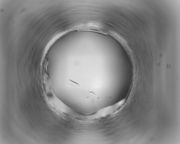 X0000052631200200507221742