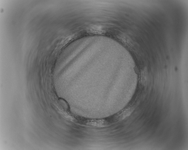 X0000052631201200507221741