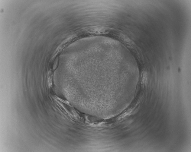 X0000052631202200507221741