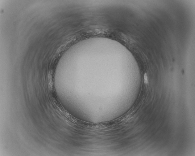 X0000052631203200507221741