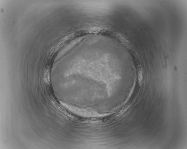 X0000052631204200507221741