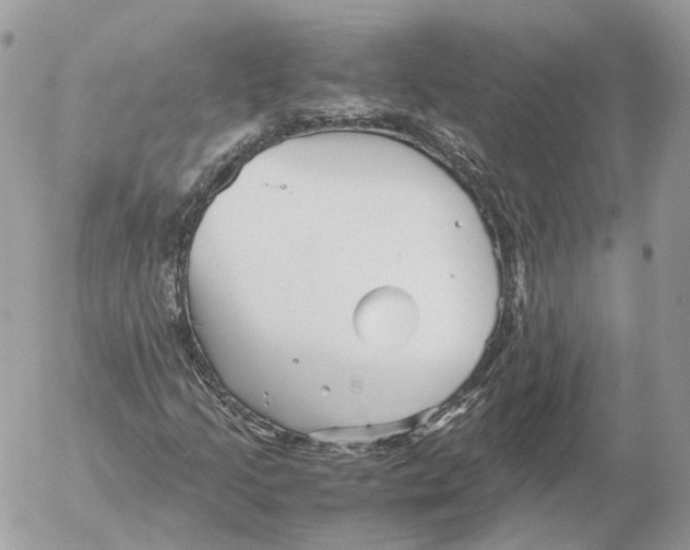 X0000052631205200507221741