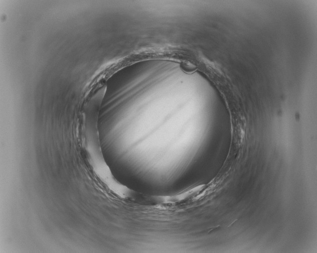 X0000052631206200507221741