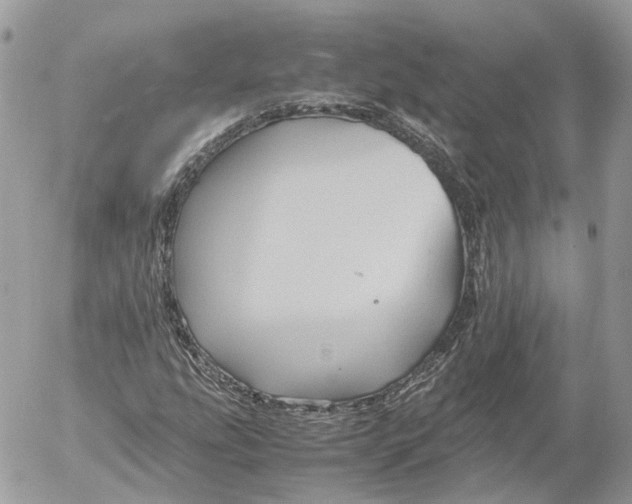 X0000052631207200507221741