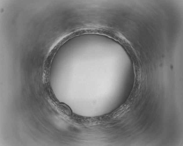 X0000052631208200507221741