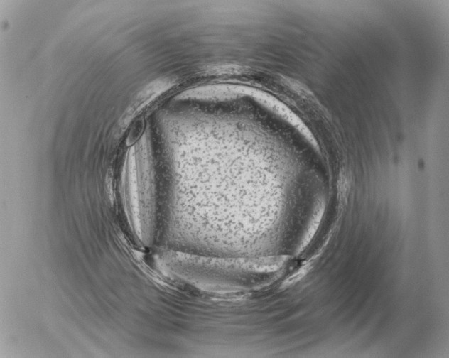 X0000052631209200507221741