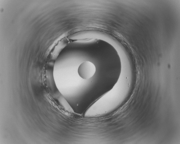 X0000052631210200507221741