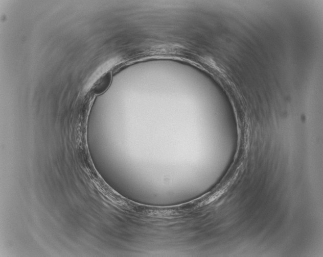 X0000052631211200507221741