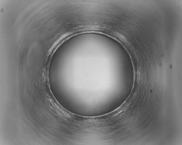 X0000052631212200507221741