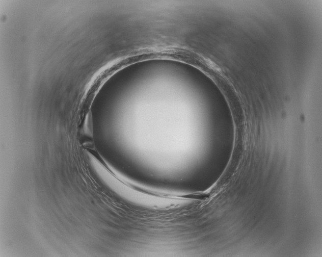 X0000052631214200507221741