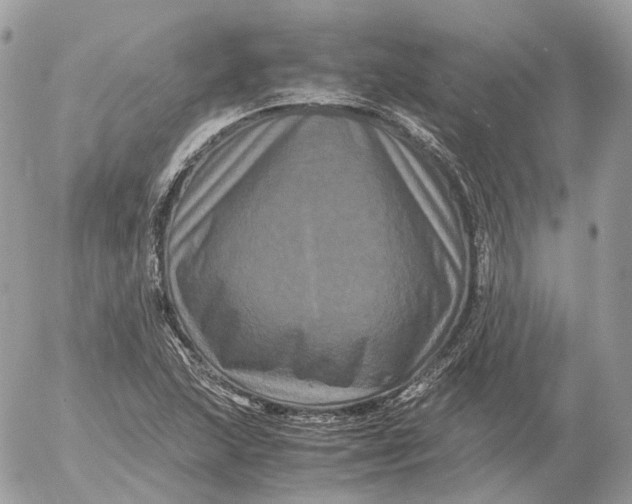 X0000052631215200507221741