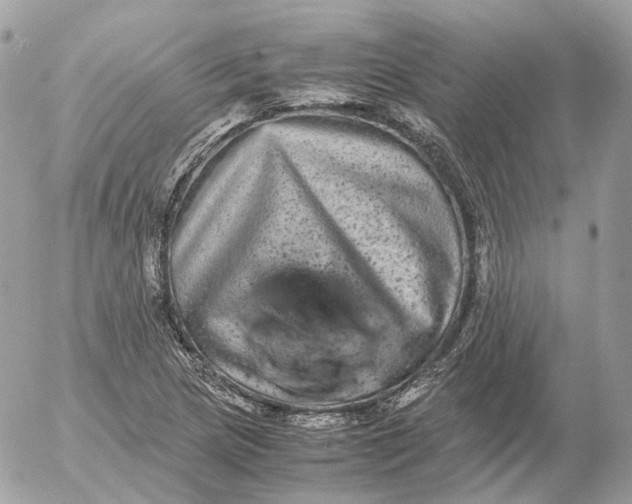 X0000052631217200507221741