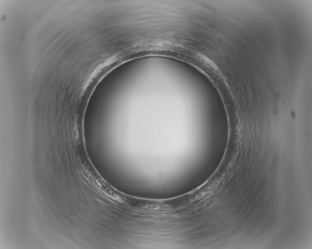 X0000052631218200507221741