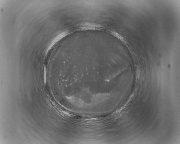 X0000052631219200507221741