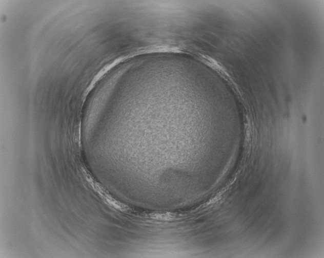 X0000052631220200507221741