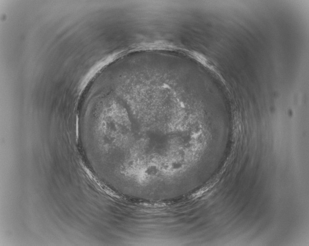 X0000052631221200507221741