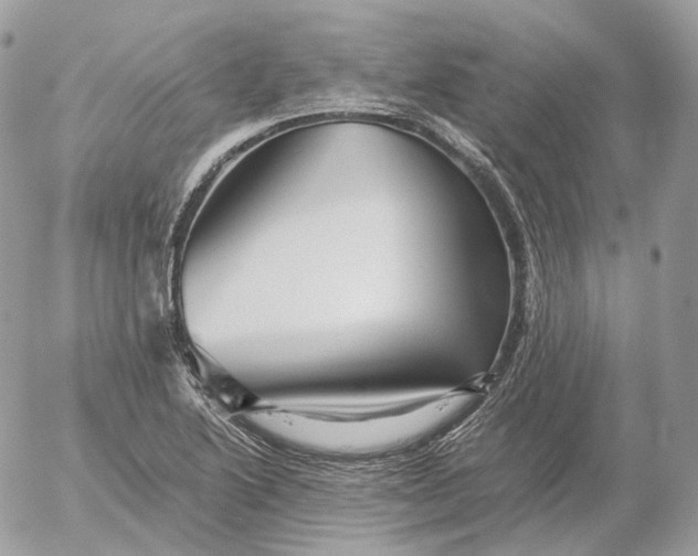 X0000052631222200507221741