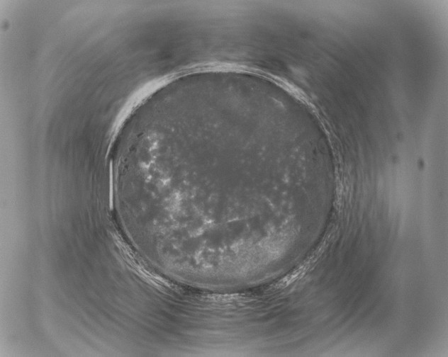 X0000052631223200507221741