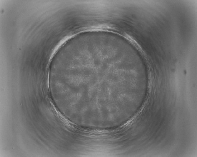 X0000052631224200507221741