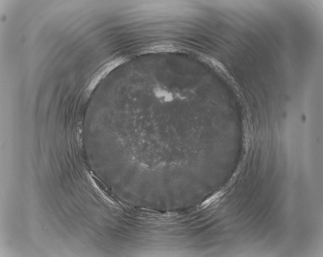 X0000052631225200507221741