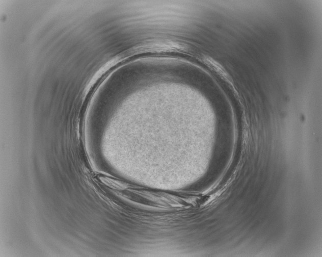 X0000052631226200507221741