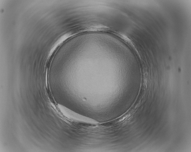 X0000052631227200507221741