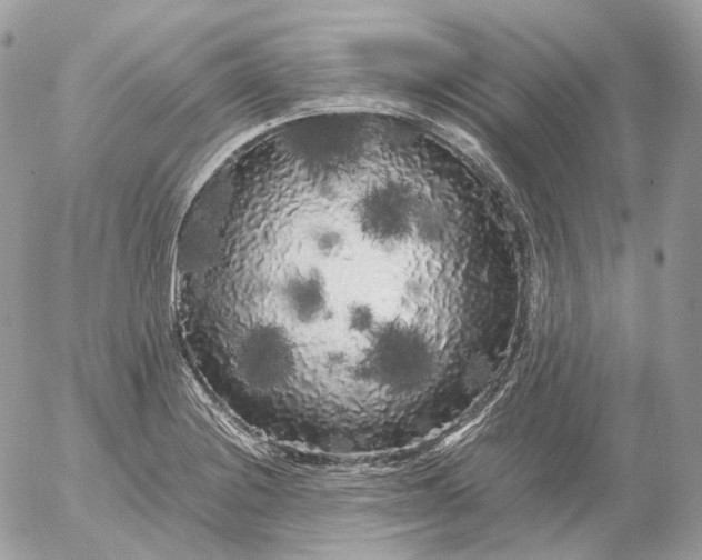 X0000052631228200507221742