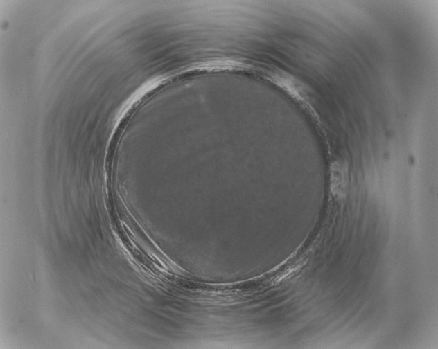 X0000052631229200507221742