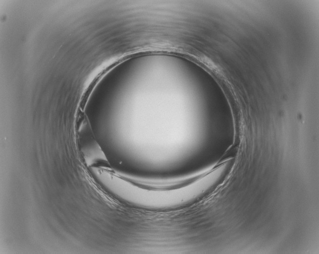 X0000052631230200507221742