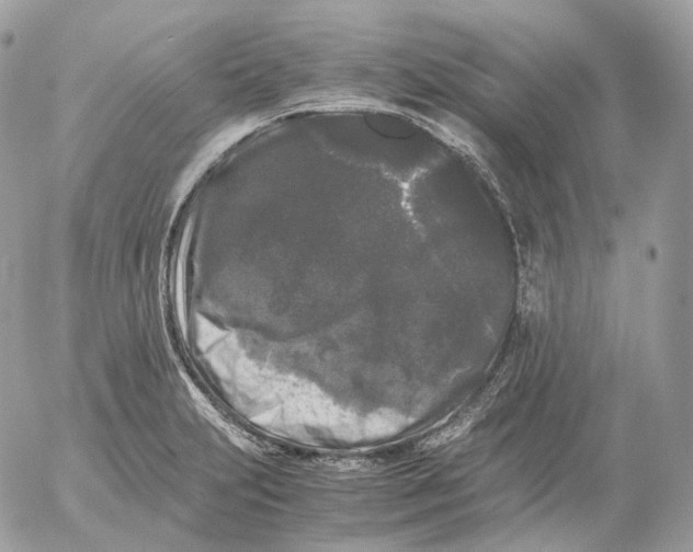 X0000052631231200507221742