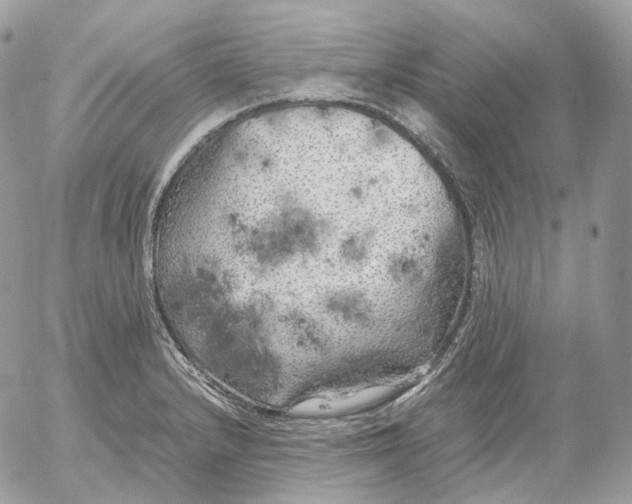 X0000052631232200507221742