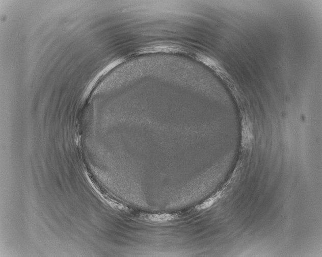 X0000052631233200507221742