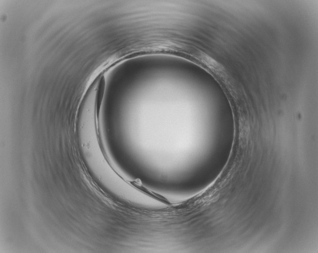 X0000052631234200507221742