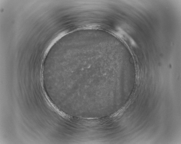 X0000052631235200507221742