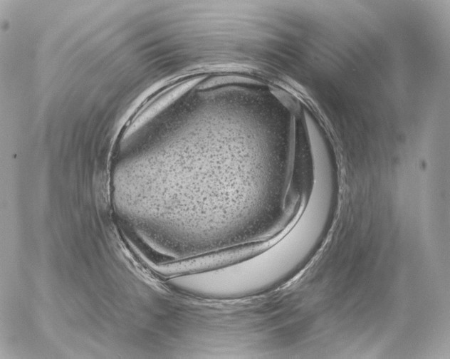 X0000052631236200507221742