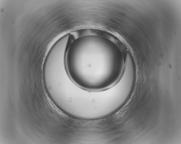 X0000052631238200507221742